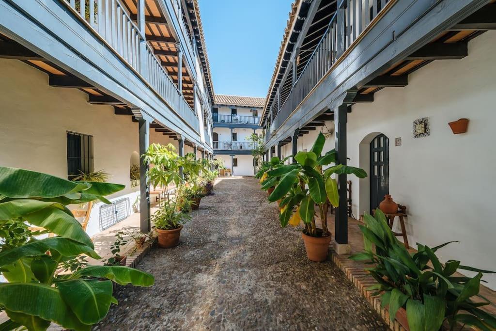 New Apartment In Traditional Building Of The XVI Century Sevilla Eksteriør billede