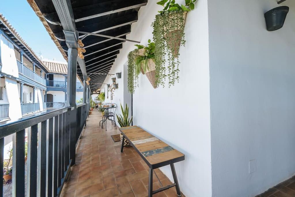 New Apartment In Traditional Building Of The XVI Century Sevilla Eksteriør billede